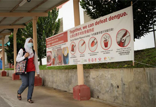 Elderly at higher risk of severe illness from dengue: NCID head
